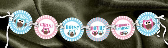 TWINS Baby Gender Reveal Party Banner, Baby Shower, Pink, Blue, Owls Il_570xn