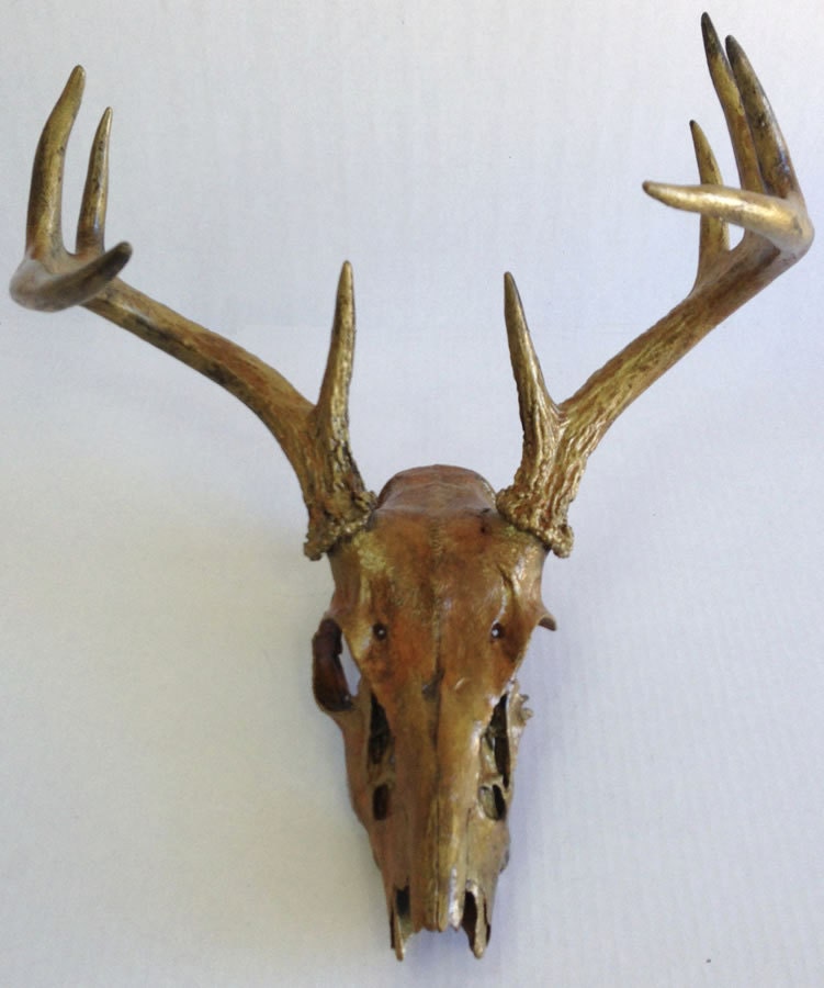 Partial Whitetail Deer Skull and Antlers - Black Iron, Gold and Rust - CustomAntlers