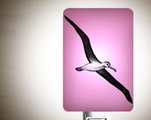 Albatross Nightlight on Lilac Lavender Fused Glass Night Light - Gift for Baby Shower or Nature Lover - Kids Bird Nightlight