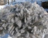 NEW 2013 Natural Gray Wool Roving CSA Share for Handspinning