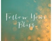 Nature Photography  - Text - Type - Quote -  Fine Art Photograph - Follow Your Bliss - Typography - Light - Blue