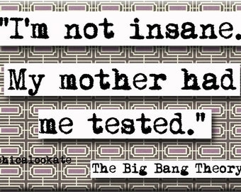 Big Bang Theory Not Insane Quote Magnet or Pocket Mirror (no.397)