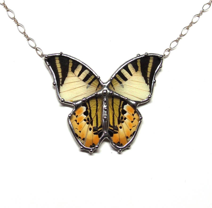 Butterfly Jewelry - Yellow Graphium Real Butterfly Necklace
