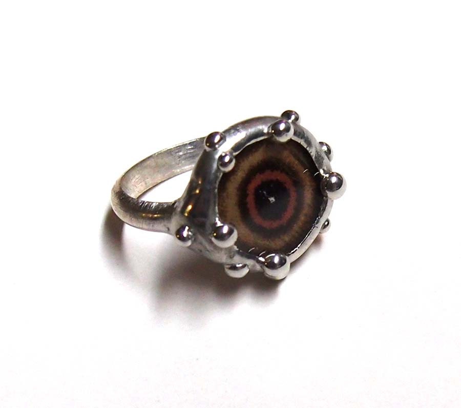 Evil Eye Talisman Nazar Ring - Real Butterfly Wing Ring - Nature Inspired Jewelry - Size 6.5