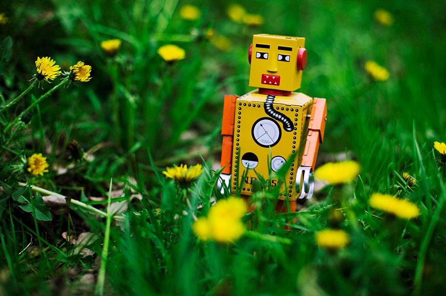 tin toy robot, "WANDERLUST" 8x10 print, summer sunset golden light windup toy play shadow