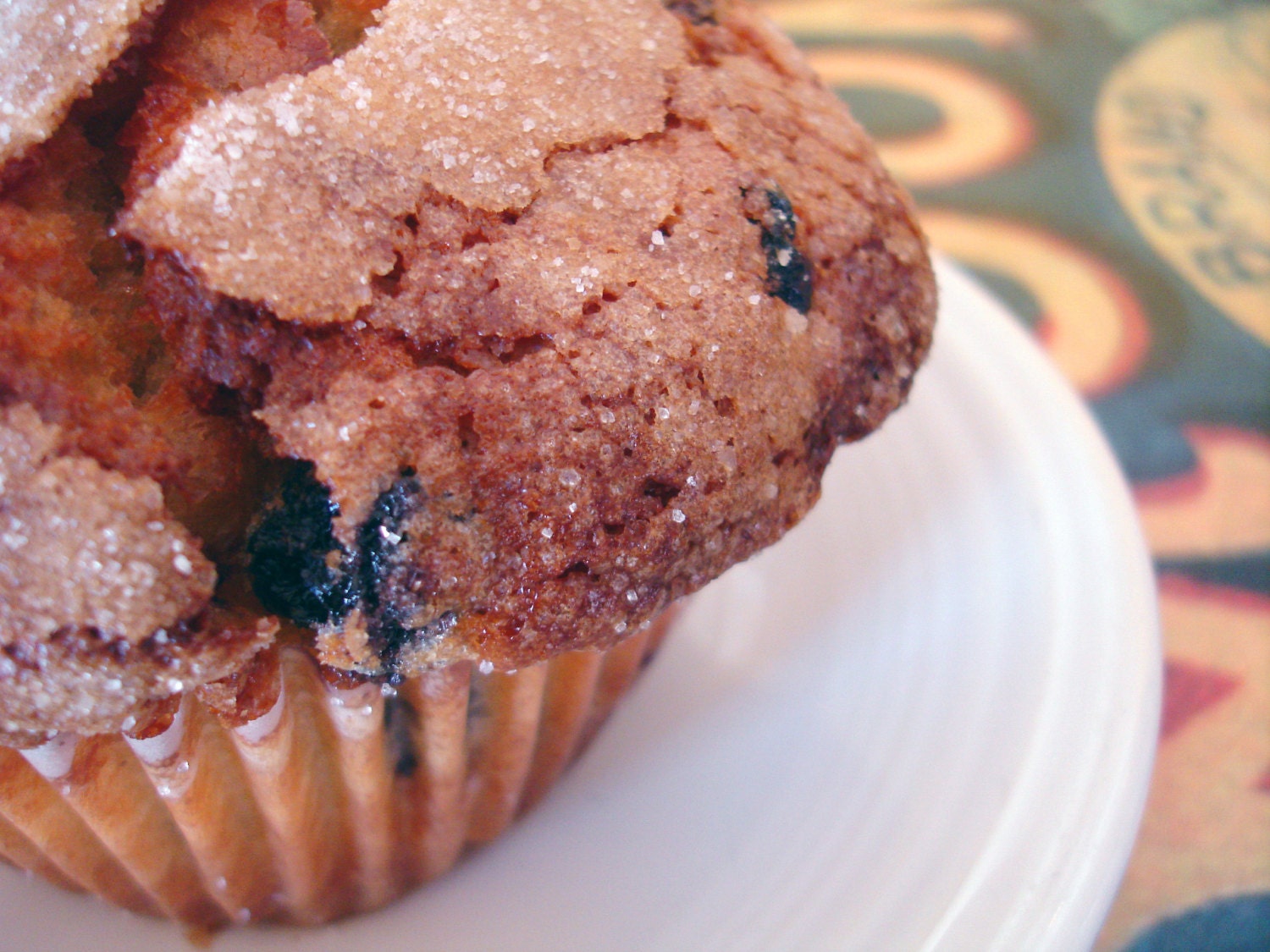 Blueberry Muffin Breakfast Fine Art Photo Print