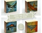 Dictionary Art Print Bird Collage Art Box - Set of Four - Pick your Mix Bird Wall Decor or BirdShelf Decor- 4 in x 4 in - Dictionary Print