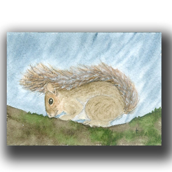 ACEO watercolor original SQUIRREL rain pacific nw life