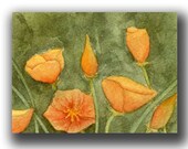 watercolor ACEO flowers original California polppies