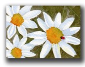 watercolor ACEO flowers original Daisies and a friend