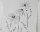 Black-eyed Susans Botanical Drawing, Original Ink Drawing, Summer Flower, Pen and Ink, Black on Cream, Daisy Art, Flower Illustration 8 x 10