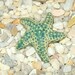 1 copper blue Starfish cabachon bead or mosaic tile focal piece handmade sea star porcelain ceramic beads