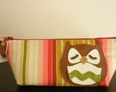 Stewart the Owl Vintage Pink Green Burgundy Stripe Cotton Print Canvas Carry All Case Vinyl Applique