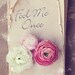 Fine Art Photograph, White, Pink Ranunculus Flowers, Old Book, Torn Pages, Title Fool Me Once, Shabby Chic Art, Breakup Gift, 8x12 Print