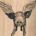 large When pigs fly   wood mounted rubber stamp   number 9476