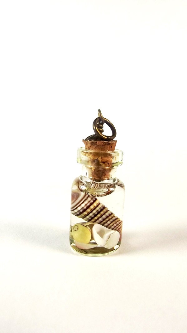 Shells Pendant