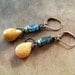 Fossil Coral, Kyanite & Turquoise Earrings