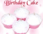 4 Birthday Cake Cupcake Candle Minis Vanilla Scent Pink