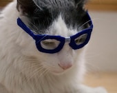 Nerd Glasses for Cats - Kitty Poindexter