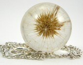 Dandelion Season Has Started, Large Resin Round with Full Dandelion and Sterling Silver Chain, Dandelion Pendant