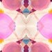 Rosewood Pattern // 11 x 14 // Archival Print // Limited Edition