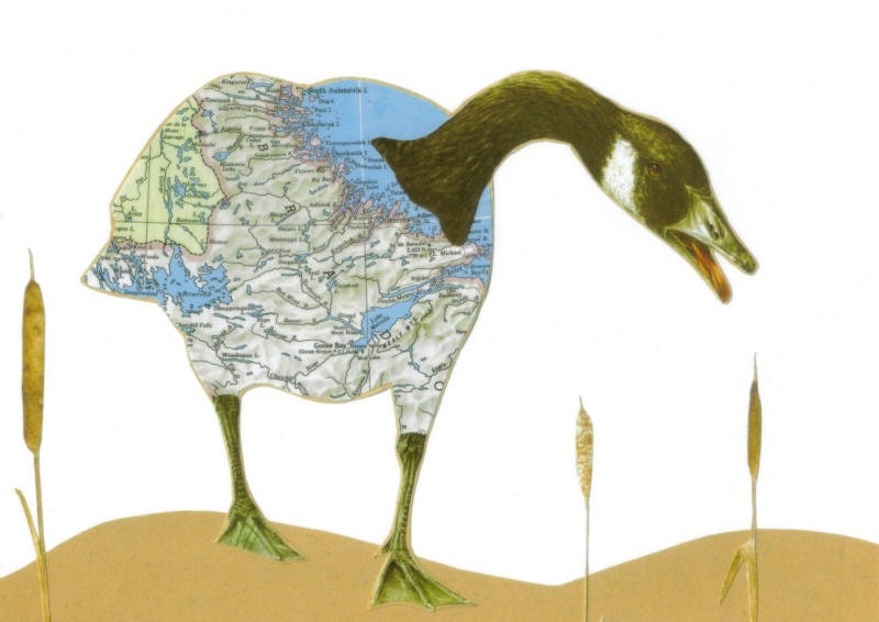 Print of Paper Collage Canada Goose Canada Map Art Canadian Goose Bird Decor