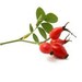 Pomegranate and White Tea - Gentle Facial Cleansing Scrub with Rosehip Avocado and Seven Extracts