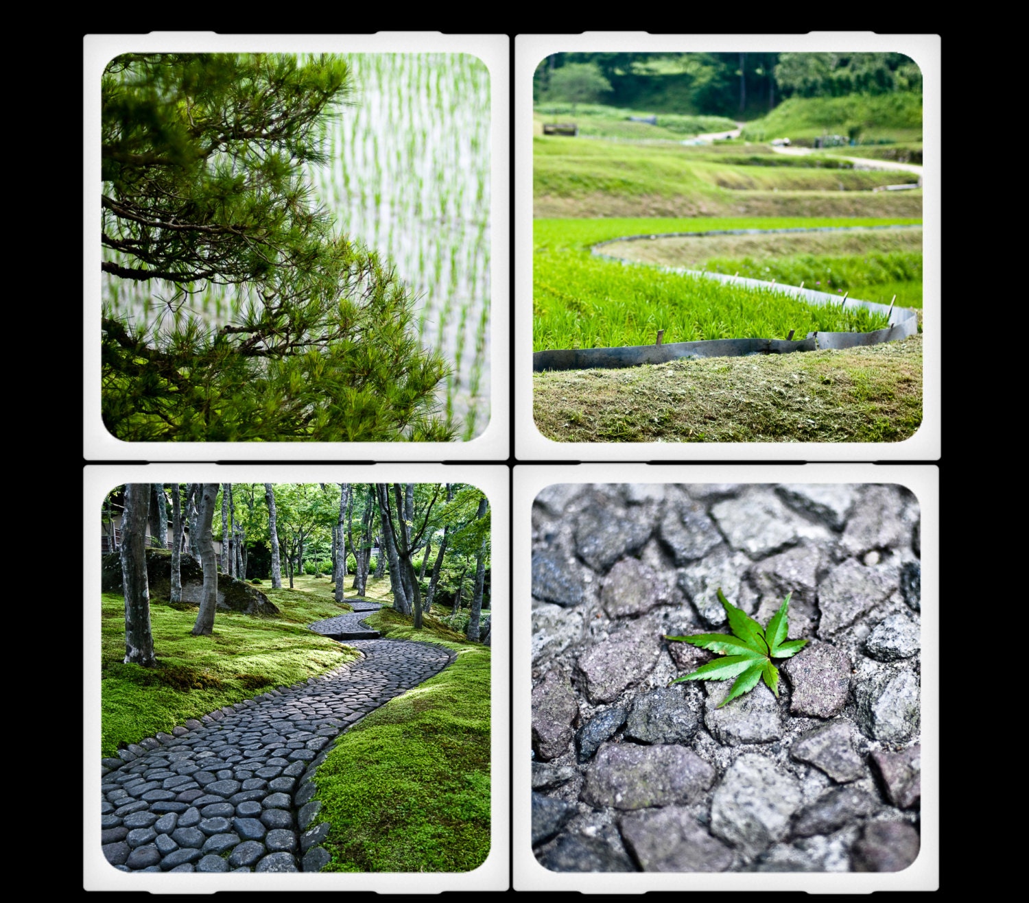 Eyeshoot Shades of Green Ceramic Coaster Set