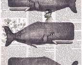 Whales.Antique.Book page.collage Art,Altered. Vintage.sea creature,  Home decor/ birthday. buy 3 get 1 FREE.mom.dad.child.fathers day