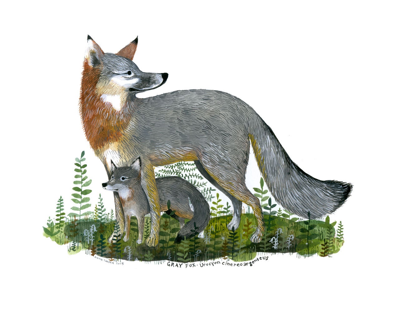 Gray Fox Mama and Kit Limited Edition Archival Inkjet Print