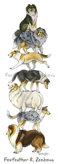 Collie Dog Stack Painting Print - Wall art, animal stack, totem, stacked, rough, smooth, blue merle, tri-color, sable, white, lassie