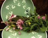 Green Ivy CAMEOWARE by Harker Late 40s Early 50s 4 Dessert Plates One Price FREE SHIPPING