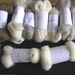 160g breed sampler pick and mix choose any eight from thirteen breeds
