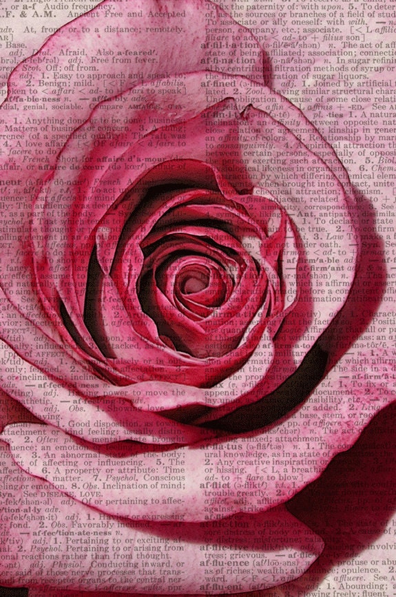 rose - farmers market rose printed on page from vintage dictonary