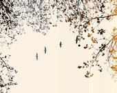 London 28 - Landscape Photography Print