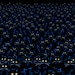 a crowd of Cats watching you..