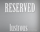 Reserved for Todd - Replacement Disc