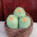 Baby Birds in a Nest - Felted Natural Toy in Green