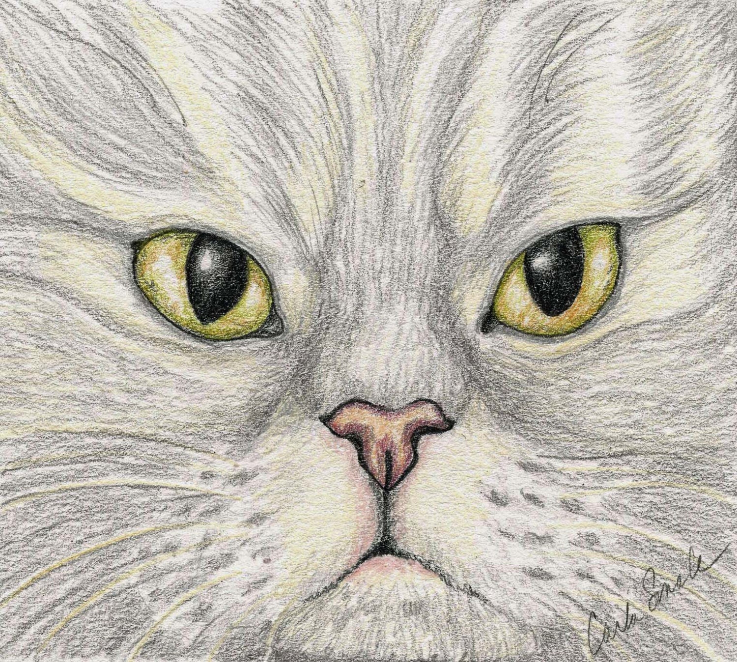 Grey Persian Cat Original Pencil Drawing Painting Pet Art-Carla Smale