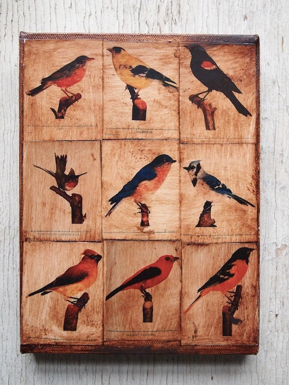 Wall Art - What Bird is That -  Photo Collage 6x8