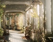 A Passage in Time -  5x7 original film art photograph