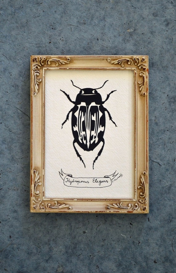 SALE 20% OFF // Coupon code: MEMORIALDAYSALE - Water Beetle - Hand-Cut Silhouette Papercut, Framed