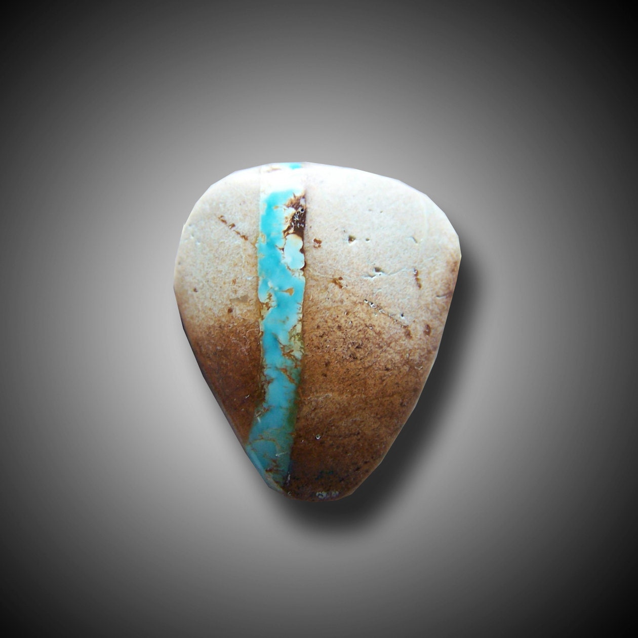 Royston Ribbon Turquoise from Nevada Cabochon
