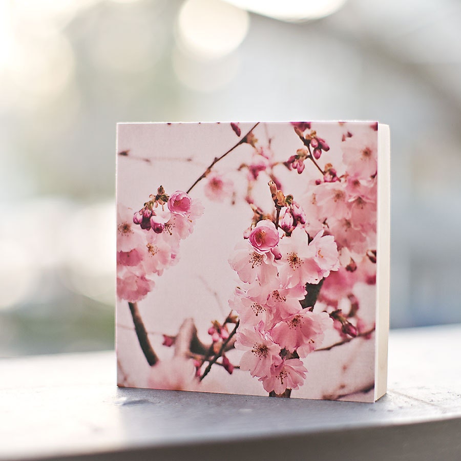 Wood Photo Block - Pink Flowers, Mothers Day,  nature photography -  office desk or baby nursery decor