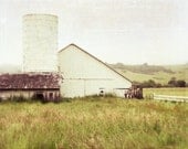 Landscape Photography - White barn photograph country farm farmhouse olive green amber gold landscape wall home decor 8x10 - White barn