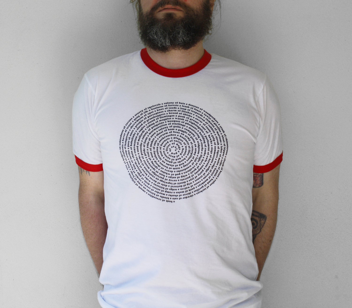 SALE Mens Tshirt -  M or L - summer fashion, American Apparel white/red ringer mens tshirt - Animal Collective Nouns