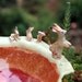 rabbit bowl - rabbits and the red earth - handmade porcelain bowl