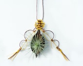 Macrame Pod Air plant holder