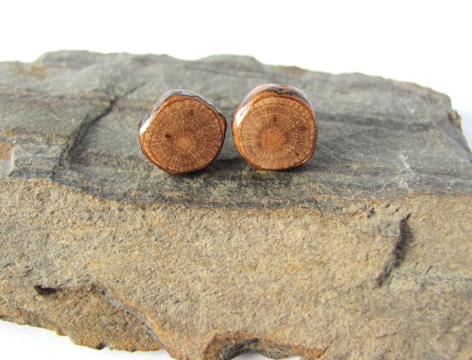 Wood Post Earrings Tiny Tree Branch Studs Eco Friendly Reclaimed Oak Natural Wooden  Jewelry by Hendywood