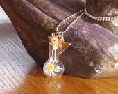 He Loves me... a dried miniture like daisy in a capsule